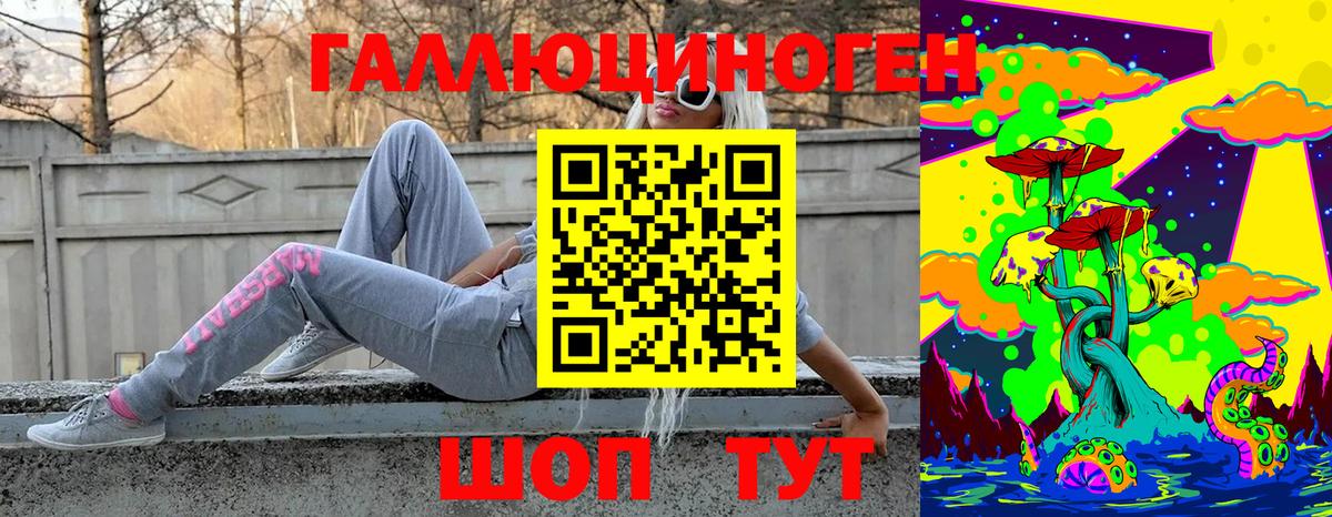 Галлюциногенные грибы мицелий  Вход с VPN  Псилоцибиновые грибы Psilocybine cubensis  Новокубанск 