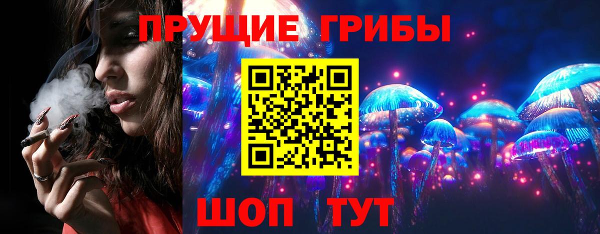 Псилоцибиновые грибы Cubensis Новокубанск